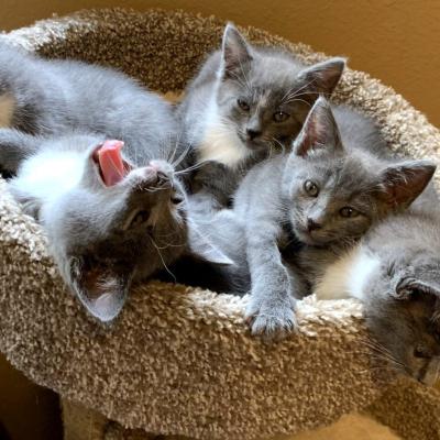 8ribqkr R Od7mdat Qz9g