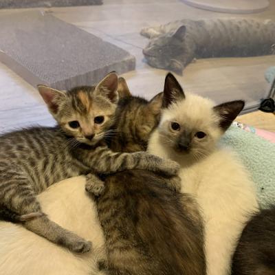 9j8tnpxwqr Hlotu5hrr A