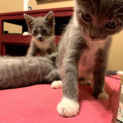 Bldrcdics9oogazswhgqoq