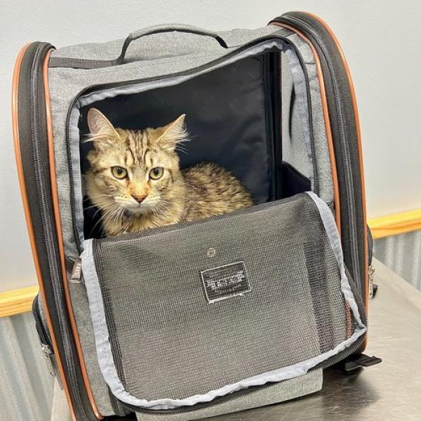 72740387950 71dafd08 81d6 4c6f B6d2 E34dfd320795